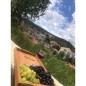 Rina Doğal Ahşap Kahve Sunum Tepsisi